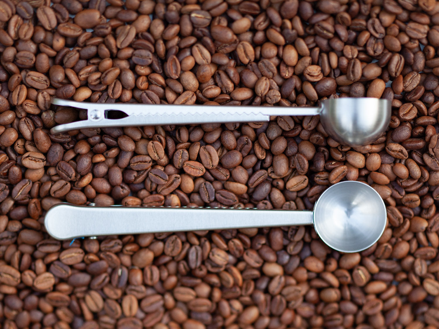 Spoon/Clip-Silver